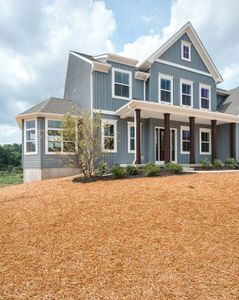 New construction Single-Family house Wilbanks Drive, Charlotte, NC 28278 - photo 344 344