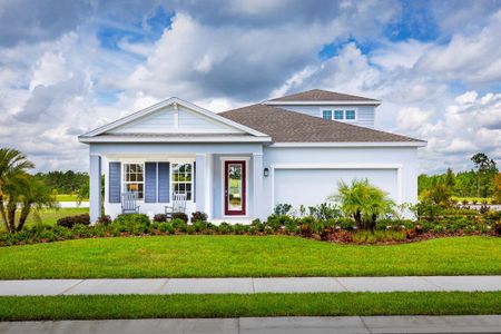 New construction Single-Family house 298 Prickly Pear Court, Lady Lake, FL 32159 Panama- photo 0