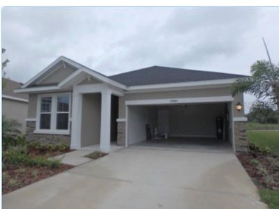 New construction Single-Family house 11844 Catawba Cove, Parrish, FL 34219 - photo 0