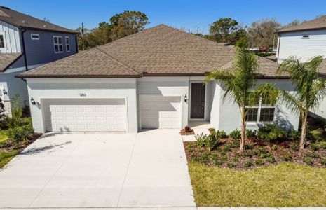 New construction Single-Family house 12113 Orchid Ash St., Riverview, FL 33579 Easley- photo 13 13