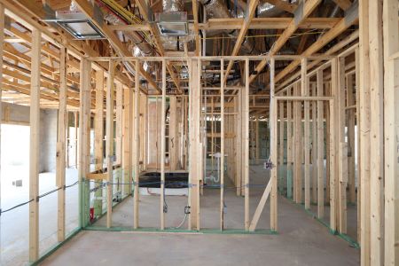 New construction Single-Family house 32568 Sapna Chime Drive, Wesley Chapel, FL 33545 Barcello- photo 30 30