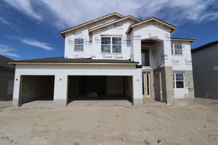 New construction Single-Family house 7795 Notched Pine Bend, Wesley Chapel, FL 33545 Sonoma II- photo 44 44