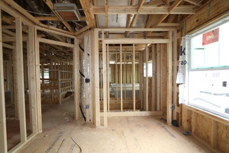 New construction Single-Family house 12114 Hilltop Farms Drive, Dade City, FL 33525 Alenza- photo 62 62