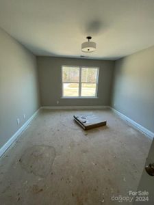 New construction Single-Family house 2830 Forney Hill Road, Denver, NC 28037 - photo 15 15