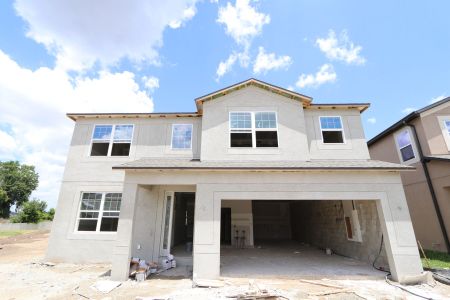 New construction Single-Family house 2522 Sunny Pebble Loop, Zephyrhills, FL 33540 Mira Lago- photo 93 93