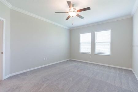 New construction Townhouse house 31588 Blue Passing Loop, Wesley Chapel, FL 33545 - photo 25 25