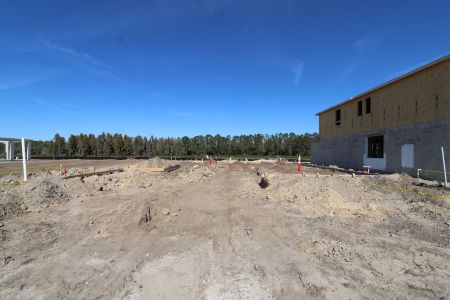New construction Single-Family house 7795 Notched Pine Bend, Wesley Chapel, FL 33545 Sonoma II- photo 6 6