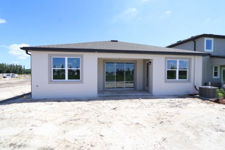 New construction Single-Family house 10709 New Morning Drive, Tampa, FL 33647 Madeira II- photo 5 5