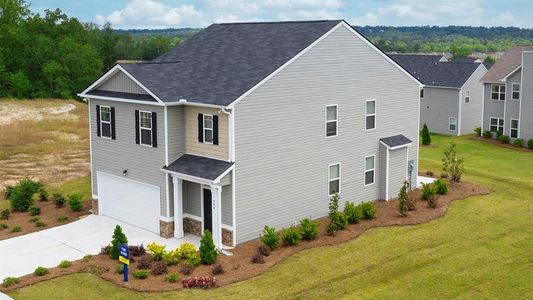 New construction Single-Family house 12000 Conrad Circle, Hampton, GA 30228 Robie- photo 39 39