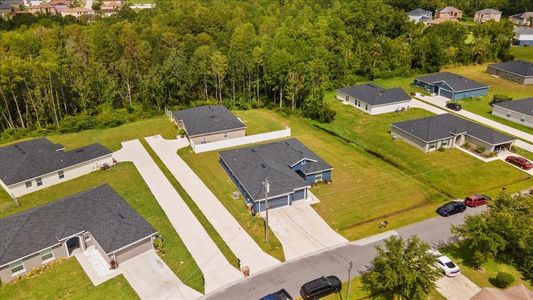 New construction Single-Family house 534 Bristol Circle, Kissimmee, FL 34758 - photo 28 28