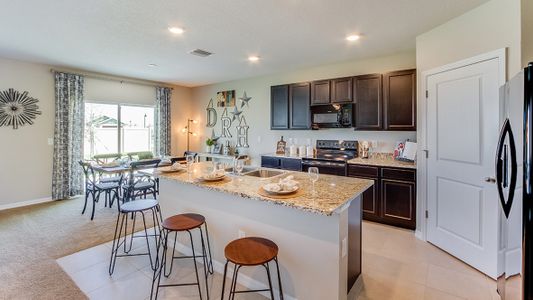 New construction Single-Family house 17331 Northwest 172nd Avenue, Alachua, FL 32615 - photo 5