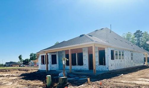 New construction Single-Family house 29622 Cedar Elm Way, Tomball, TX 77375 The Hennessey- photo 14 14