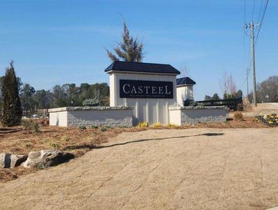 New construction Single-Family house 154 Casteel Lane, Bethlehem, GA 30620 Splendor- photo 7 7