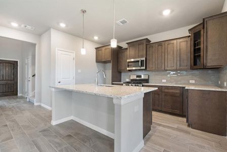 New construction Single-Family house Aurora, 501 Dove Crest Cove, Liberty Hill, TX 78642 - photo