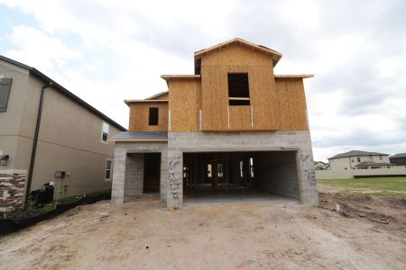 New construction Single-Family house 2463 Sunny Pebble Loop, Zephyrhills, FL 33540 Castellana- photo 18 18