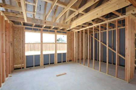 New construction Single-Family house 796 Faith Bud Lane, Lavon, TX 75166 Malmo- photo 12 12