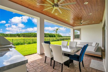 New construction Single-Family house 13809 Abberwick Drive, Orlando, FL 32832 - photo 33 33