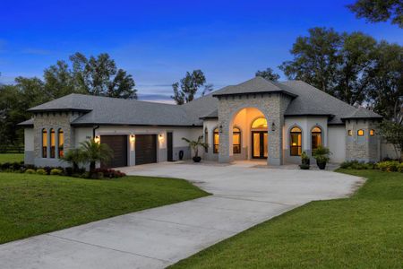 New construction Single-Family house 20404 Wolf Springs, Clermont, FL 34715 - photo 1 1