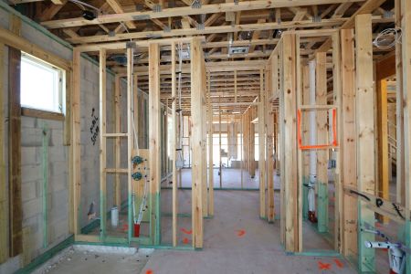 New construction Single-Family house 10609 New Morning Drive, Tampa, FL 33647 Corina  III Bonus- photo 14 14