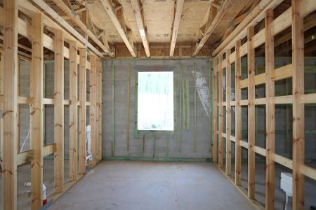 New construction Single-Family house 2885 Misty Marble Drive, Zephyrhills, FL 33540 Herrera- photo 53 53
