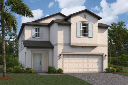 New construction Single-Family house 2926 Ivory Bluff Court, Zephyrhills, FL 33540 - photo 0