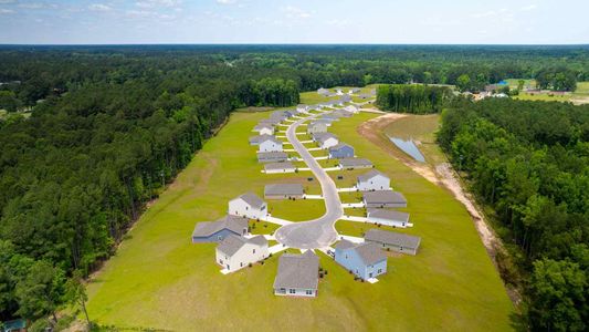 New construction Single-Family house 125 Culbertson Court, Holly Hill, SC 29059 - photo 12 12