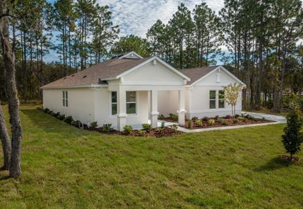 New construction Single-Family house 761 N Spend A Buck Drive, Inverness, FL 34453 - photo
