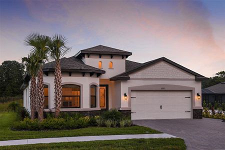 New construction Single-Family house 11328 Weaver Hollow Road, New Port Richey, FL 34654 - photo 0