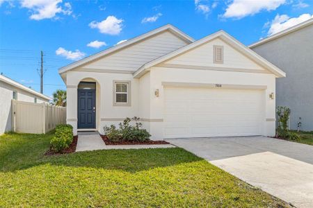 New construction Single-Family house 33616 Barberry Leaf Way, Wesley Chapel, FL 33543 - photo 2 2