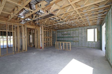 New construction Single-Family house 2463 Sunny Pebble Loop, Zephyrhills, FL 33540 Castellana- photo 28 28