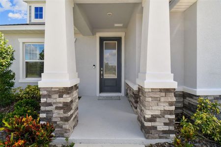 New construction Single-Family house 28615 Hillcrest Valley, Wesley Chapel, FL 33543 - photo 3 3