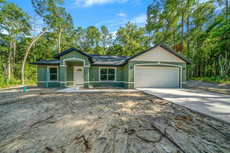 New construction Single-Family house Se Place, Ocklawaha, FL 32179 - photo 0