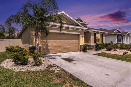 New construction Single-Family house 12031 Orchid Ash Street, Riverview, FL 33579 - photo