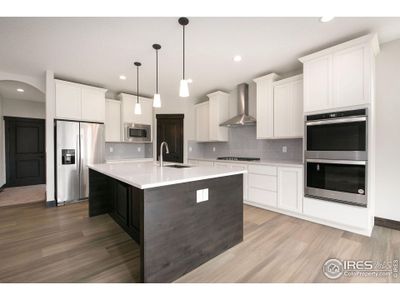 New construction Single-Family house 2921 Windward Way, Fort Collins, CO 80524 Hamilton- photo 3 3
