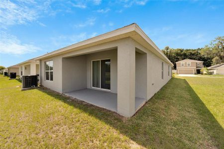 New construction Single-Family house 36629 Spanish Rose Drive, Dade City, FL 33525 - photo 10 10