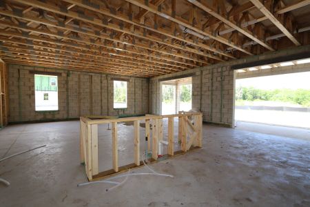 New construction Single-Family house 10634 New Morning Drive, Tampa, FL 33647 Grandshore II- photo 6 6
