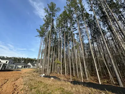 New construction Single-Family house 4369 Cotton Flat Road, Summerville, SC 29485 Coolidge Homeplan- photo 21 21