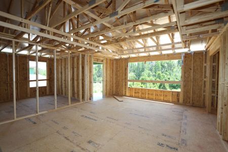 New construction Single-Family house 7690 Hemlock Seed Drive, Wesley Chapel, FL 33545 Sonoma II- photo 21 21