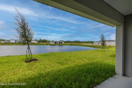 New construction Single-Family house 1083 Grantham Lane, Palm Bay, FL 32909 1415- photo 15 15