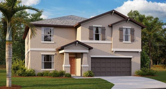 New construction Single-Family house 5130 Fiddle Fig Avenue, Wimauma, FL 33598 Richmond II- photo 0 0