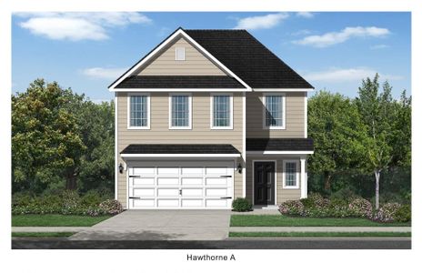 New construction Single-Family house Hawthorne / Heritage I Series, 795 Orangeburg Road, Summerville, SC 29483 - photo