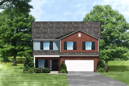 New construction Single-Family house 3301 Rosinburg Road, Zebulon, NC 27597 - photo 10 10
