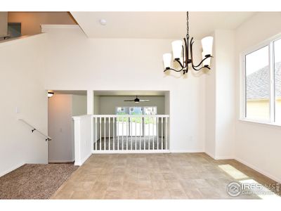 New construction Single-Family house 2315 Graceful St, Windsor, CO 80550 The Michigan- photo 20 20
