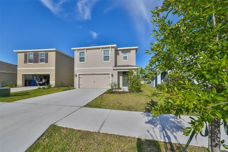 New construction Single-Family house 17039 Oval Rum Drive, Wimauma, FL 33598 - photo 51 51