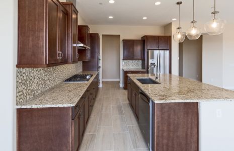 New construction Single-Family house South 227th Street, Queen Creek, AZ 85142 - photo 5 5