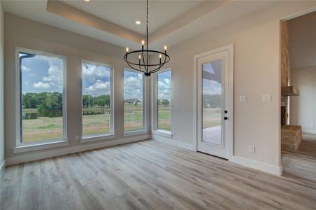 New construction Single-Family house 4005 Highland Pond Court, Weatherford, TX 76087 - photo 14 14