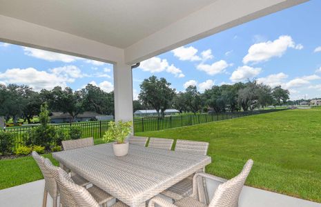New construction Single-Family house Simmons Ranch Court, Riverview, FL 33578 - photo 17 17