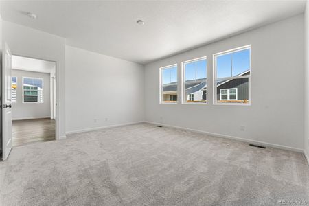 New construction Single-Family house 3538 N Duquesne Court, Aurora, CO 80019 Sand Dune - With Opt. Basement- photo 17 17