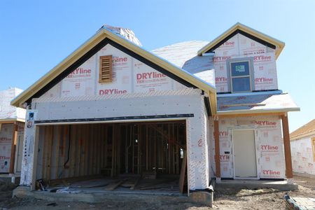 New construction Single-Family house 831 Papaya Dr, Buda, TX 78610 Rhapsody- photo 10 10
