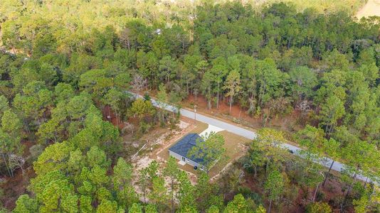New construction Single-Family house 24254 Nw Water Oak Avenue, Dunnellon, FL 34431 - photo 15 15